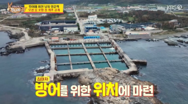 양준혁 방어횟집 대박! 주말 매출 2천만 원·웨이팅 100팀, 포항 구룡포 어디?