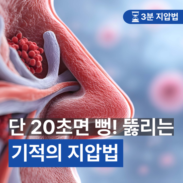 알레르기비염, 20초 만에 코 뻥 뚫리는 비염 지압법 : 네이버 블로그