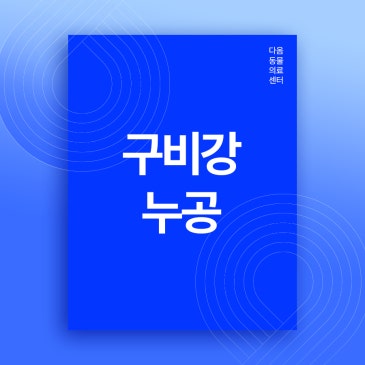 세종 치과 동물병원 강아지 심한 입냄새 원인 구비강누공