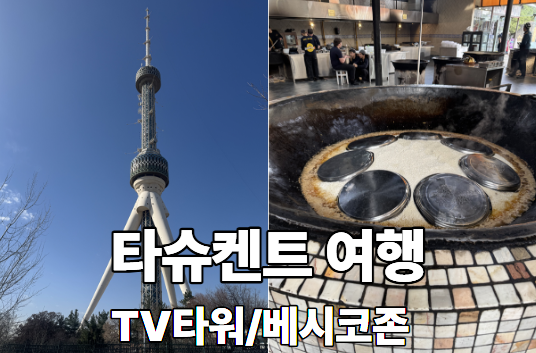 타슈켄트 Tv타워 전망대 입장료 후기 근처 오쉬 맛집 Besh Qozon 베시코....