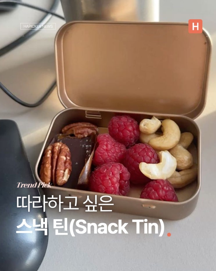 따라하고 싶은 스낵 틴(Snack Tin) : 네이버 블로그