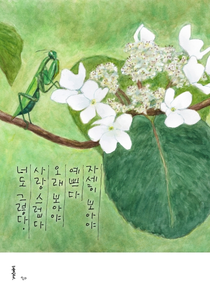 나태주 『풀꽃 1·2·3』 시화집 속 아름다운 그림들, 윤문영 화백의 그림으로 다시 읽는 시, “자세히 보아야 예쁘다 ...