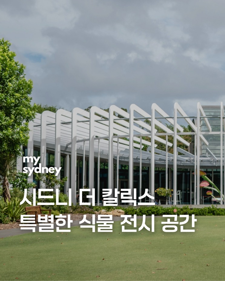 시드니 더 칼릭스(The Calyx)｜로열 보타닉 가든 속 특별한 식물 전시 ....