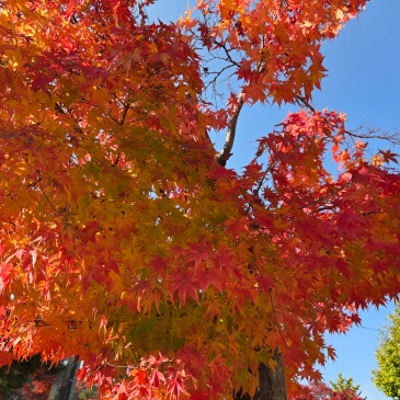 2025년 11월 7일, 문경새재 다시 찾다