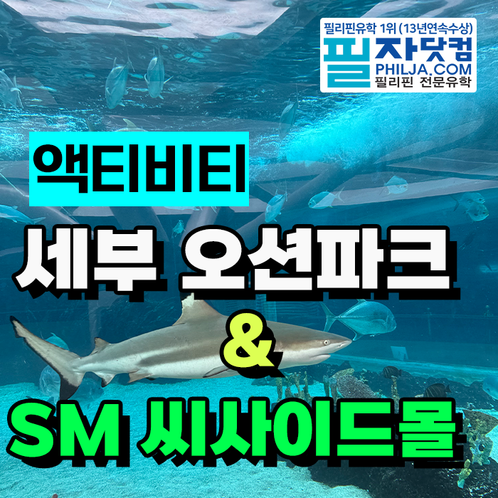 필자닷컴 학생들과 세부 오션파크·SM 씨사이드 몰 다녀왔어요