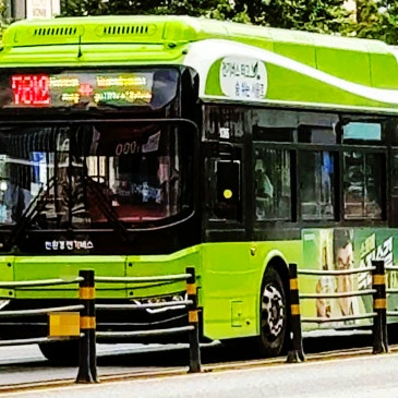 "대통령 한마디에 중국산 직격타" 전기버스 보조금 60% 깎였다!