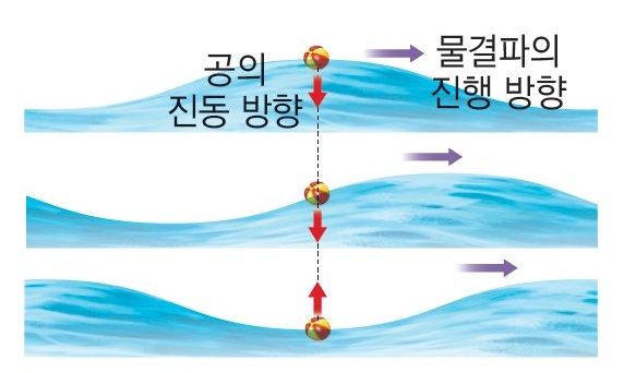[중2과학] 3단원/빛과 파동/3-2파동/2022개정교육과정 : 네이버 블로그