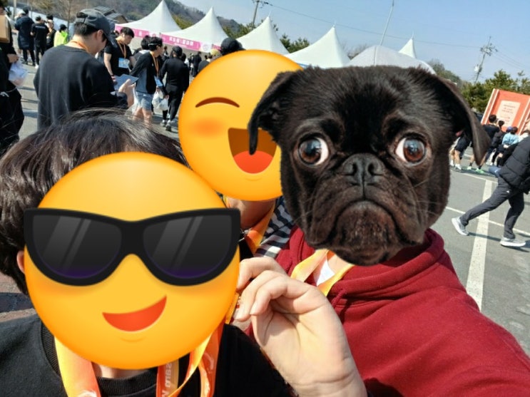 금산 인삼 웰빙 마라톤 대회 참가!