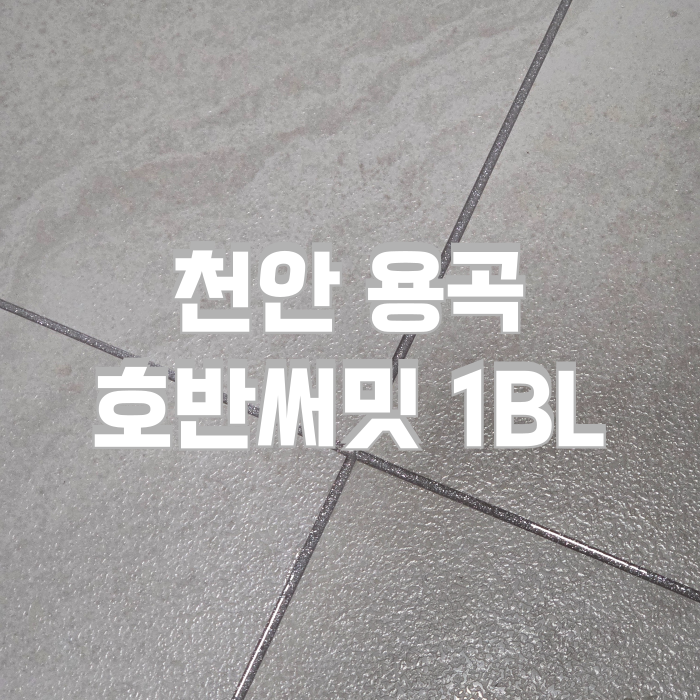 [천안줄눈]용곡호반써밋1BL 케라폭시 : 네이버 블로그