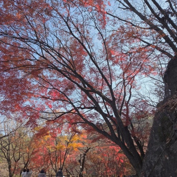 2025년 11월 28일, 남산둘레길과 한옥마을