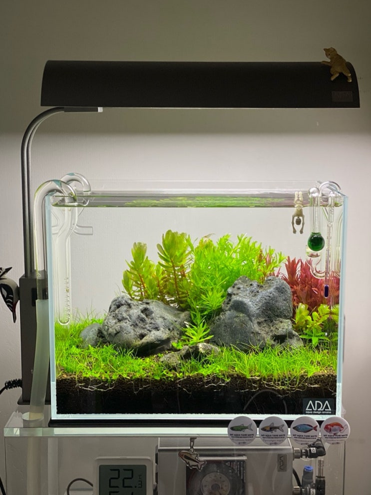 [ADA] ADA Solar Mini S : 27일.. : 네이버 블로그