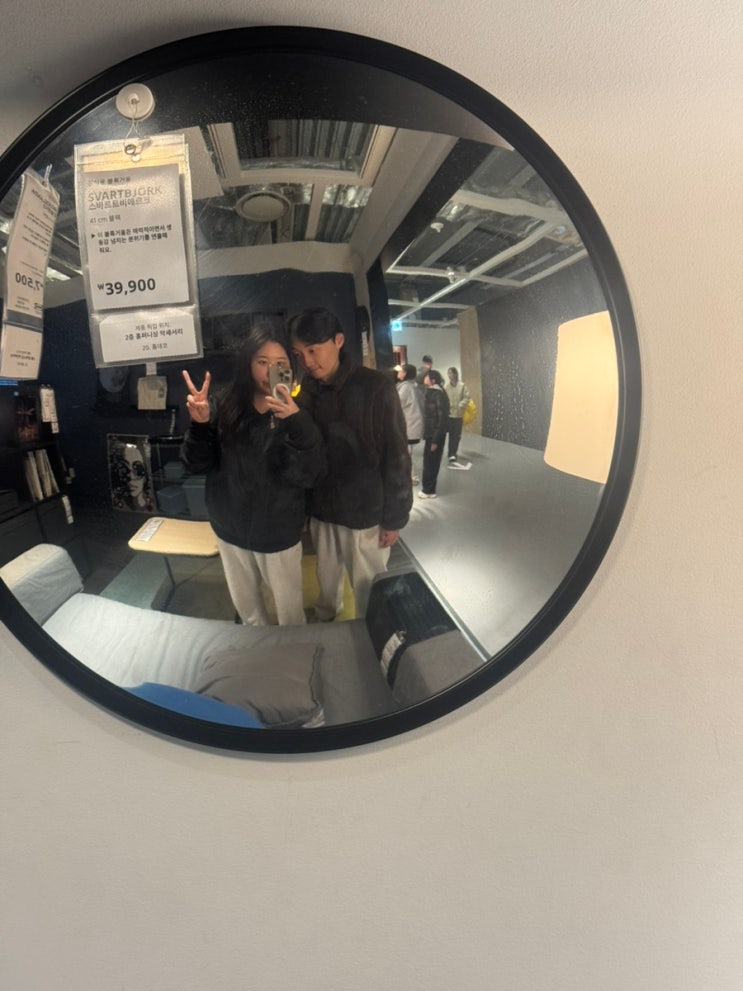 [DAILY] 26년 2~3월 : 네이버 블로그