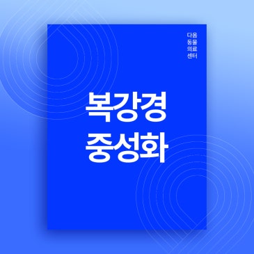 청주 강아지 복강경 중성화 수술 장점