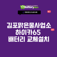 김포 산업용배터리 교체, 김포맑은물사업소 델코 HICA65 설치 후기