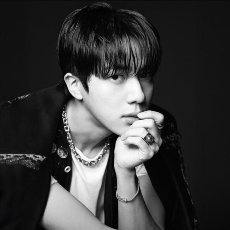 [BTS 방탄소년단 진] JIN 팬들 진짜 미쳤다 ; 팬 & 브랜드 컴백 서포트 : 네이버 블로그