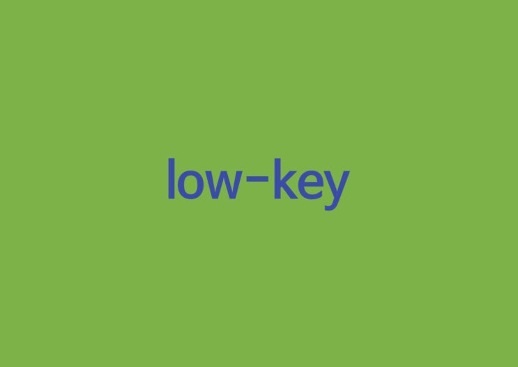 low-key 뜻은 : 네이버 블로그