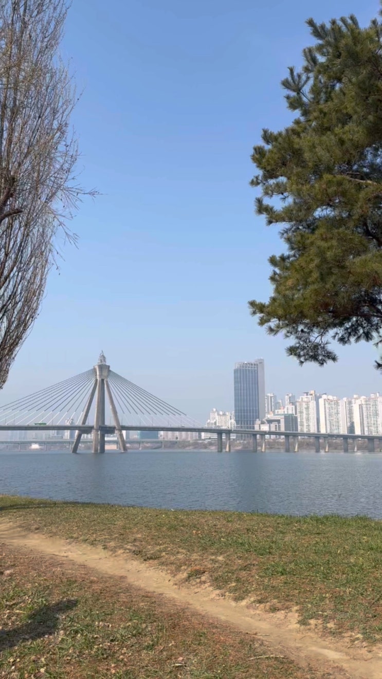버킷런 10km 후기: 달리며 깨달은 ‘페이스메이커’와 꾸준히 달리는 엄마의 의미