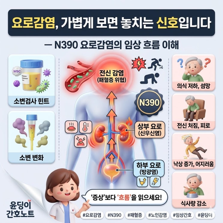요로감염, 가볍게 보면 놓치는 신호입니다— N390 요로감염의 임상 흐름 이해 : 네이버 블로그