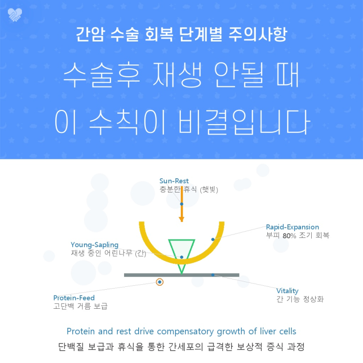 간암 수술 회복: 간 부전(PHLF) 예방과 재생을 위한 과학적 단계별 전략 : 네이버 블로그