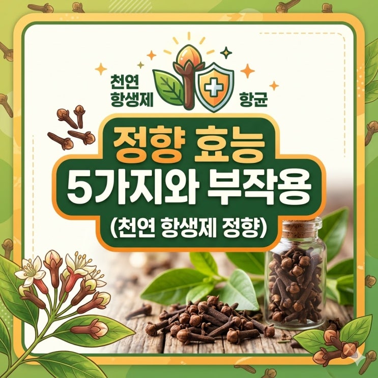 정향 효능 5가지와 부작용, 천연 항생제로 불리는 이유 : 네이버 블로그