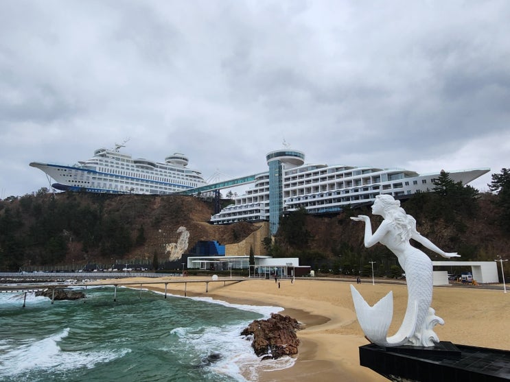 정동진항 카페 : 네이버 블로그