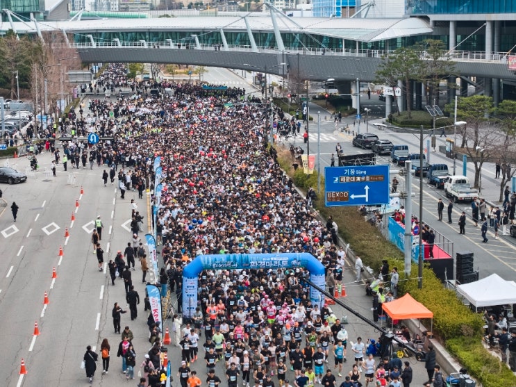 제24회 성우하이텍배 KNN 환경마라톤 10km 참가 후기