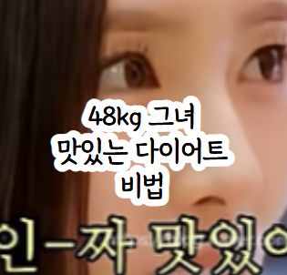 "48kg 신세경 프로틴" 연예인 다이어트 단백질 식단 마이밀 뉴프로틴 오리지널 혈당 관리 팁