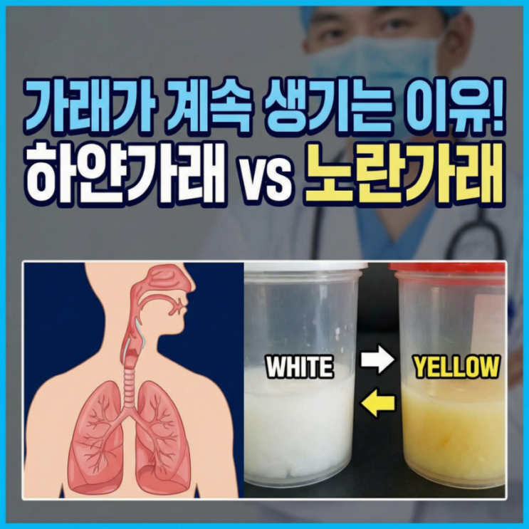 가래 생기는 이유 하얀 가래 노란 가래 색깔 : 네이버 블로그