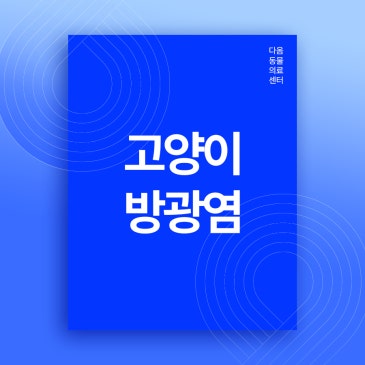 오송 동물병원 고양이한테 발생하는 방광염 원인과 치료방법