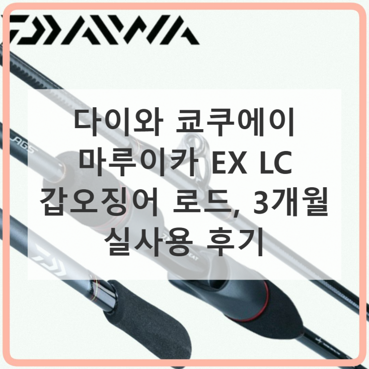 다이와 쿄쿠에이 마루이카 EX LC 갑오징어 낚시대 직접 써본 후기 : 네이버 블로그