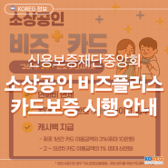 소상공인을 위한 든든한 금융 지원! 돌아온 소상공인 비즈플러스 카드 보증 알아보기