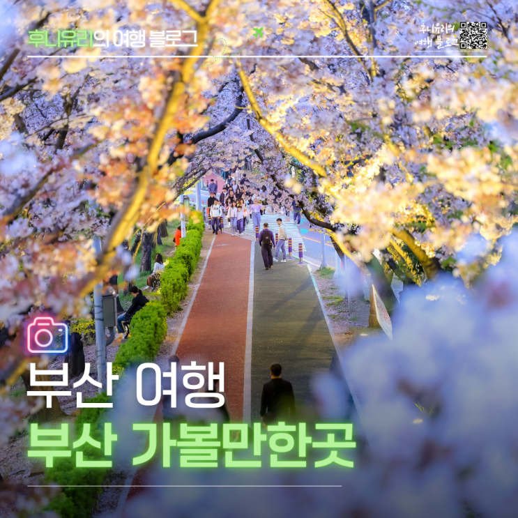 부산 벚꽃 보러 가볼만한곳 고민이라면 여기 6곳은 무조건 가세요 : 네이버 블로그
