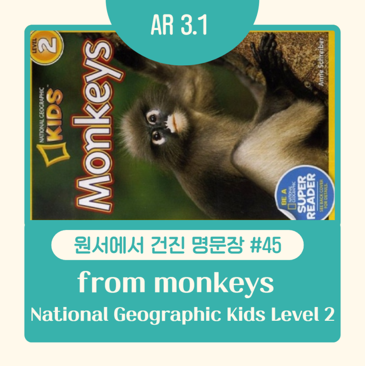 AR 3점대 원서추천｜내셔널지오그래픽 키즈 레벨2 Monkeys로 배우는 문장 구조 (spend + ing / 병렬 / with ...