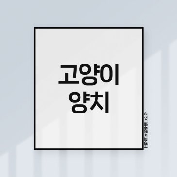 봉명동 고양이 치과 동물병원 고양이 양치 훈련하는 방법