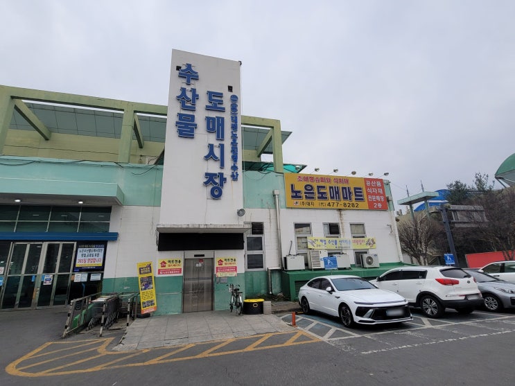 노은도매할인마트 방문 사진