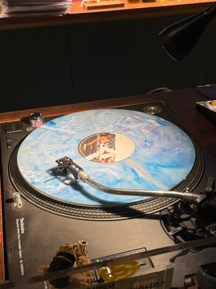 Micro Vinyl House (Euljiro LP Bar)