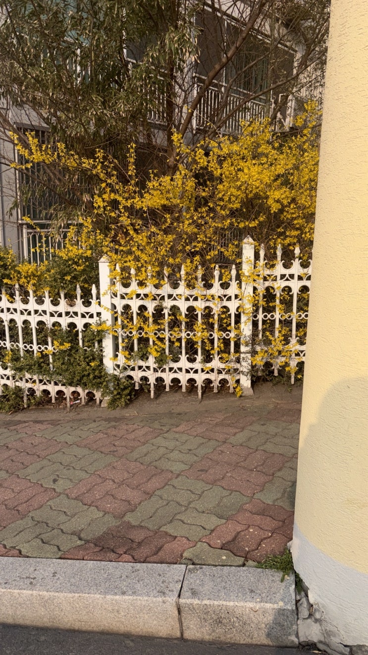 회복으로 가는 먼 길에 대하여 : 네이버 블로그