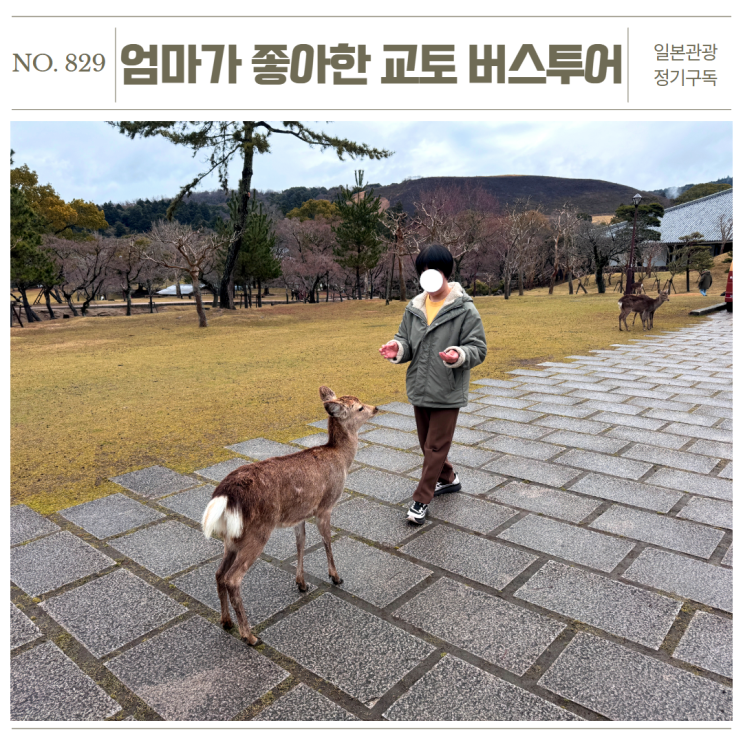오사카 나라 사슴공원 + 교토 우지 여행 한 그릇 버스투어 후기