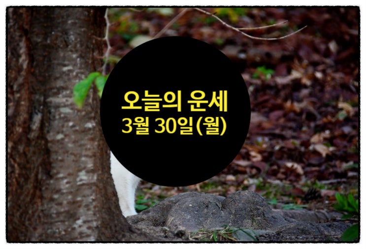 오늘의 띠별 운세 2026년 03월 30일 월요일 : 네이버 블로그