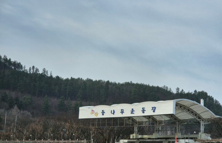 2026 무주반딧불 하프마라톤 대회 / 무주 등나무 운동장
