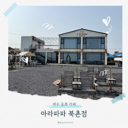 제주 3대빵집 아라파파 북촌 제주 동쪽 바다뷰 대형카페 : 네이버 블로그