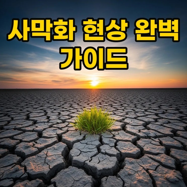 사막화 현상이란? 뜻과 사막화 현상 원인 및 해결법 알아보기 : 네이버 블로그