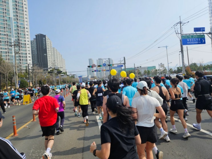 창원 315마라톤 참가·응원후기｜맑음내과신경외과 홍보 참여 리얼 후기