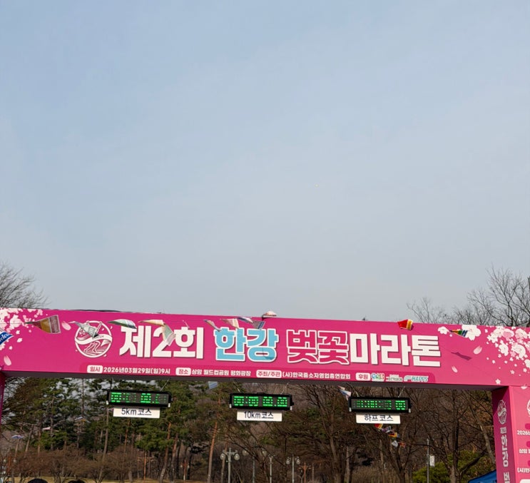2026 한강 벚꽃 마라톤 10k 후기