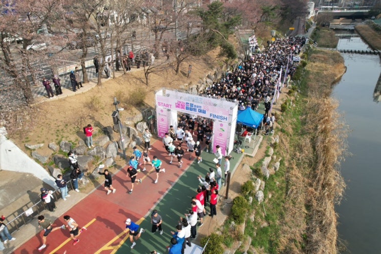 은평 불광천 벚꽃 마라톤 대회가 성황리에 마무리되었습니다!