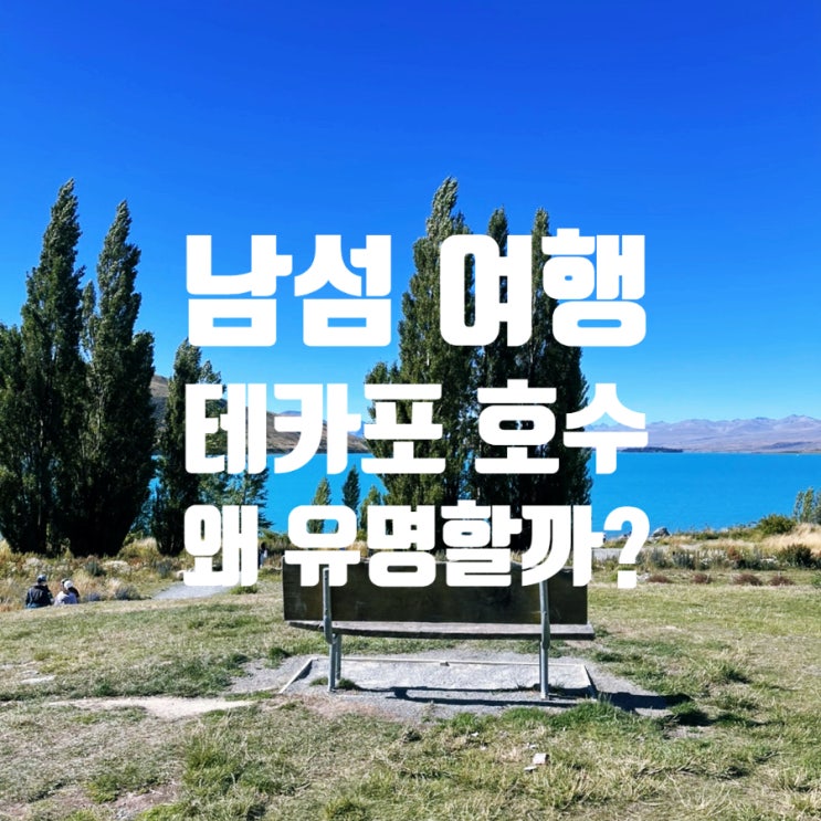 〔뉴질랜드 남섬 여행〕 테카포 호수 Lake Tekapo 왜 유명할까? 꼭 가봐....