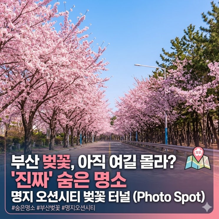 부산 벚꽃 숨은 명소, 명지 오션시티 완벽 정리