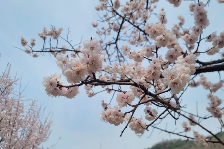 국립중앙과학관 방문 사진