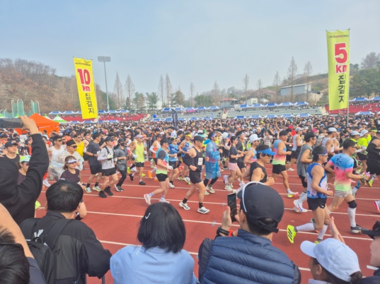 26년 3월 러닝기록 & 합천벚꽃마라톤 후기