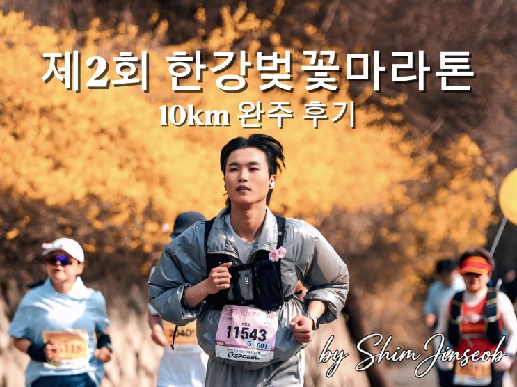 제2회 한강벚꽃마라톤 10km 완주 후기 - 심진섭의 벚꽃 달리기